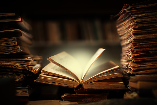 SUBJECTS/BASIC/Literature